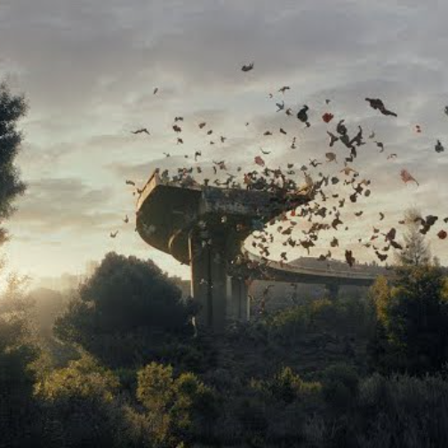 新的Woolmark活动聚焦羊毛的环保益处