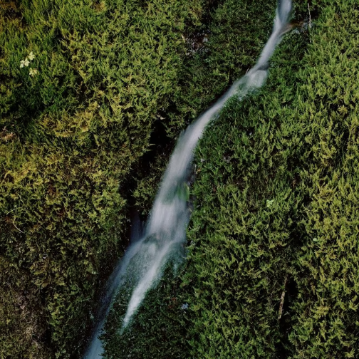 开云集团发布全新水资源战略，承诺到2050年实现水资源正效益