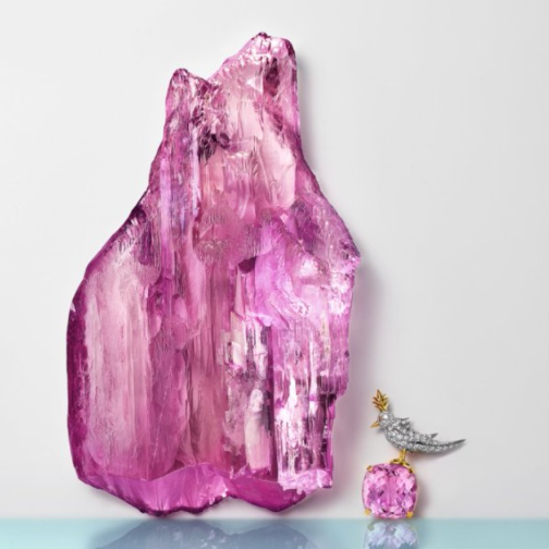 蒂芙尼购入逾7500克拉紫锂辉石，打造“石上鸟”胸针60周年限量作品