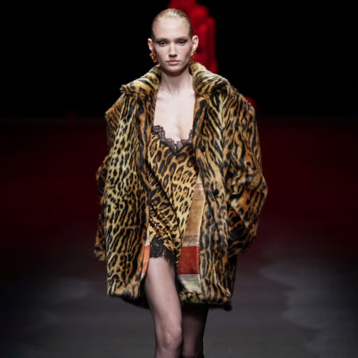 Roberto Cavalli探索战略合作