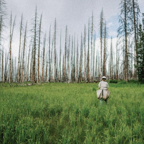 续写杰尼亚绿洲精神，开启全球生态守护新篇章