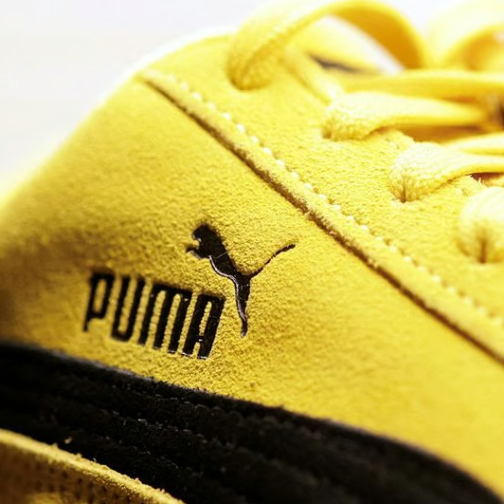 开云控股方皮诺家族暂缓出售所持彪马股份