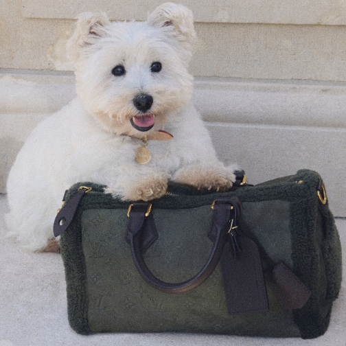 路易威登发布2026全新Dog系列