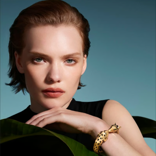 全球富人买珠宝，历峰集团领跑