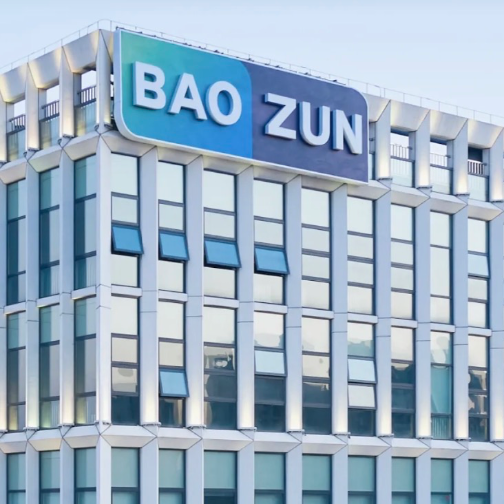 宝尊电商发布2025Q4及全年财报